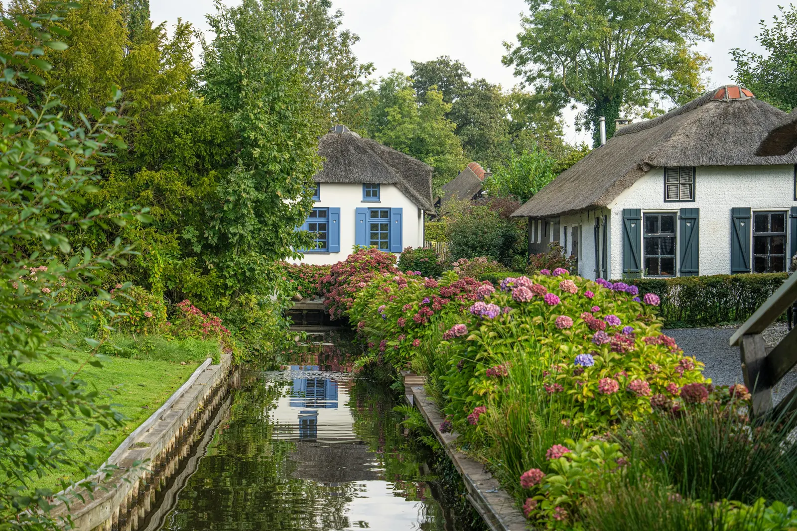 Rietgedekte huisjes en hortensia's langs een smalle gracht in Giethoorn