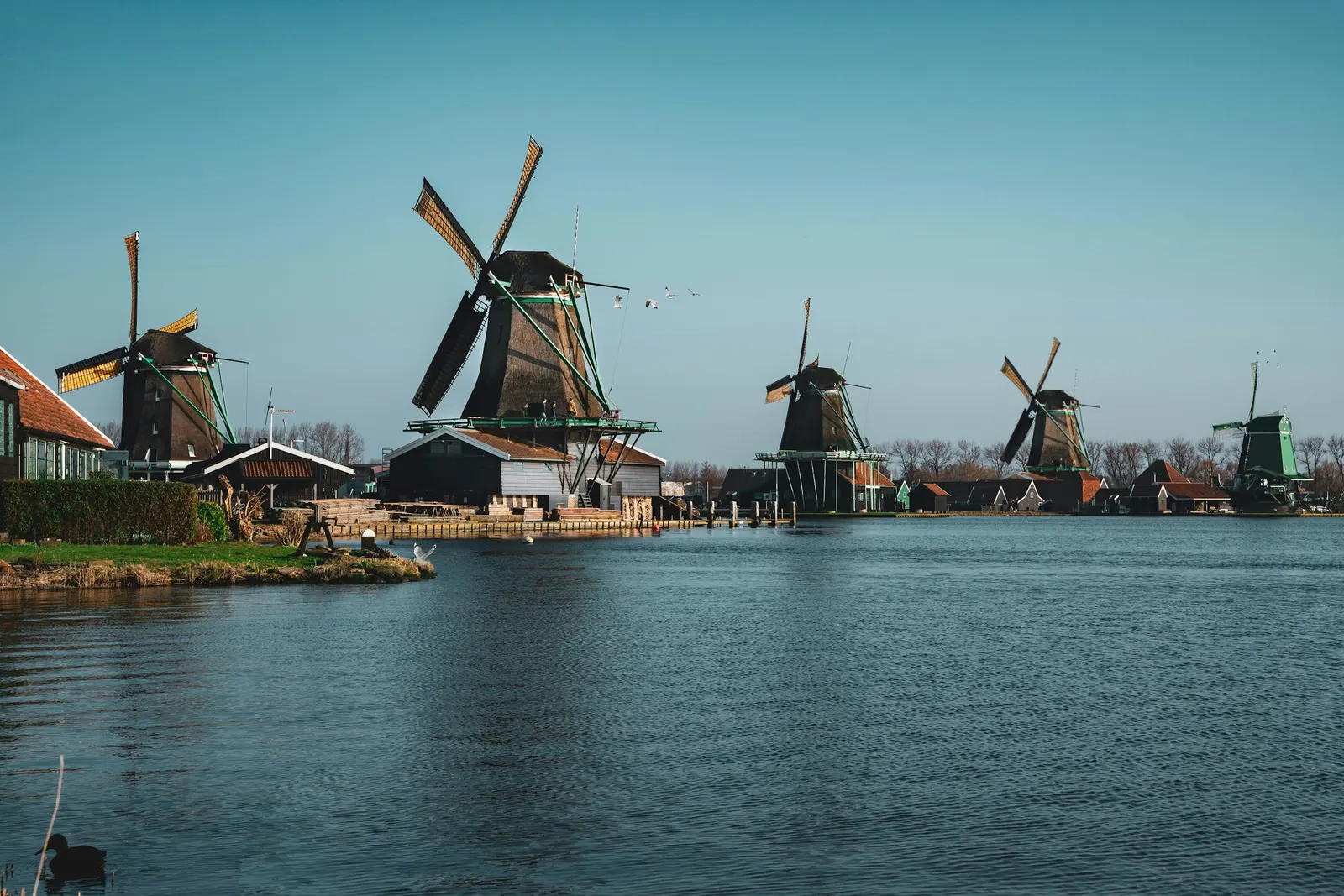 Traditional windmills on the water at Zaanse Schans near Amsterdam