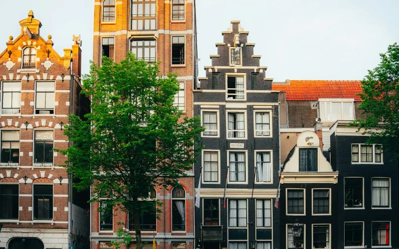 Amsterdam City Tour, photo 1