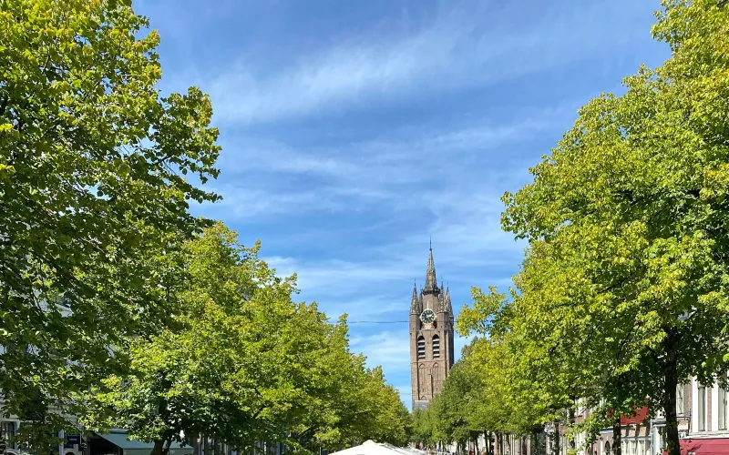 Delft, The Hague & Madurodam, photo 3
