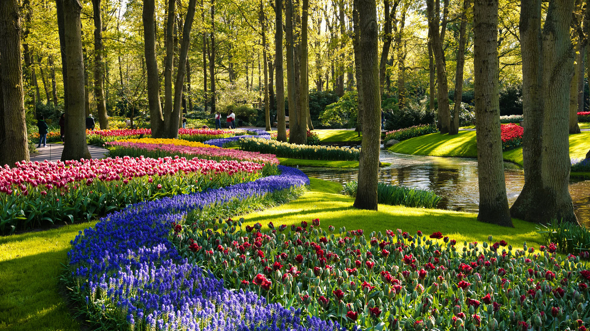 Keukenhof Garden Tour